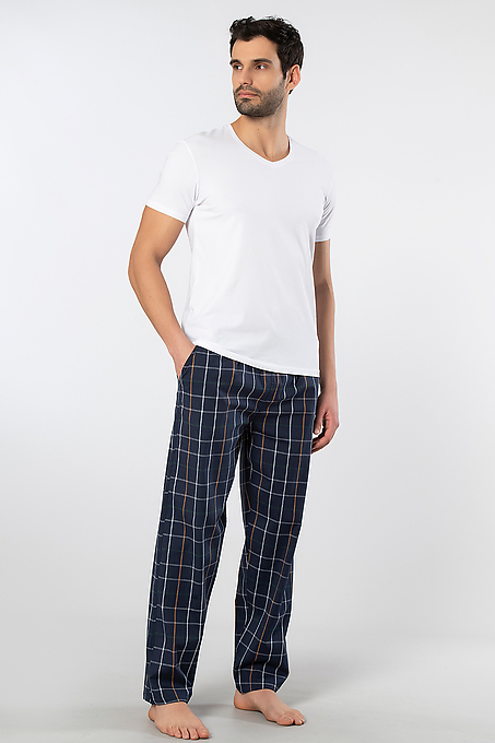 2238 Cacharel