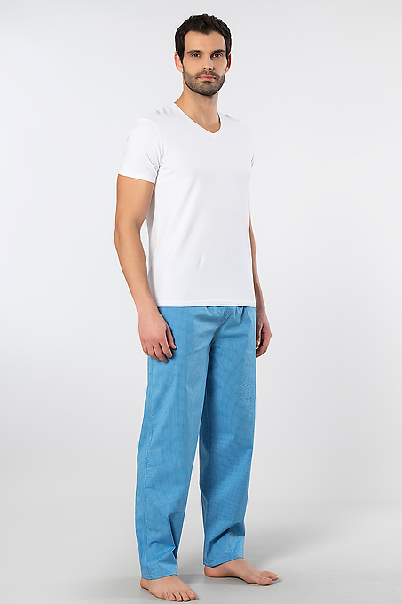 2238 Cacharel