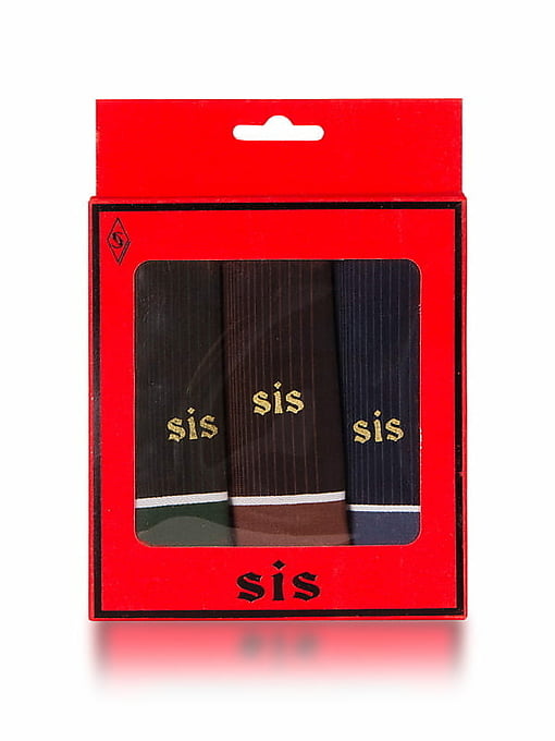 S-06 Sis