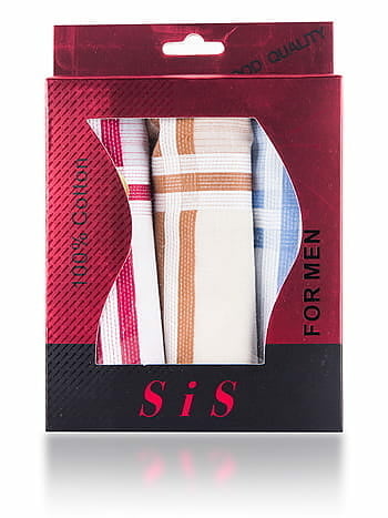 S-01 Sis
